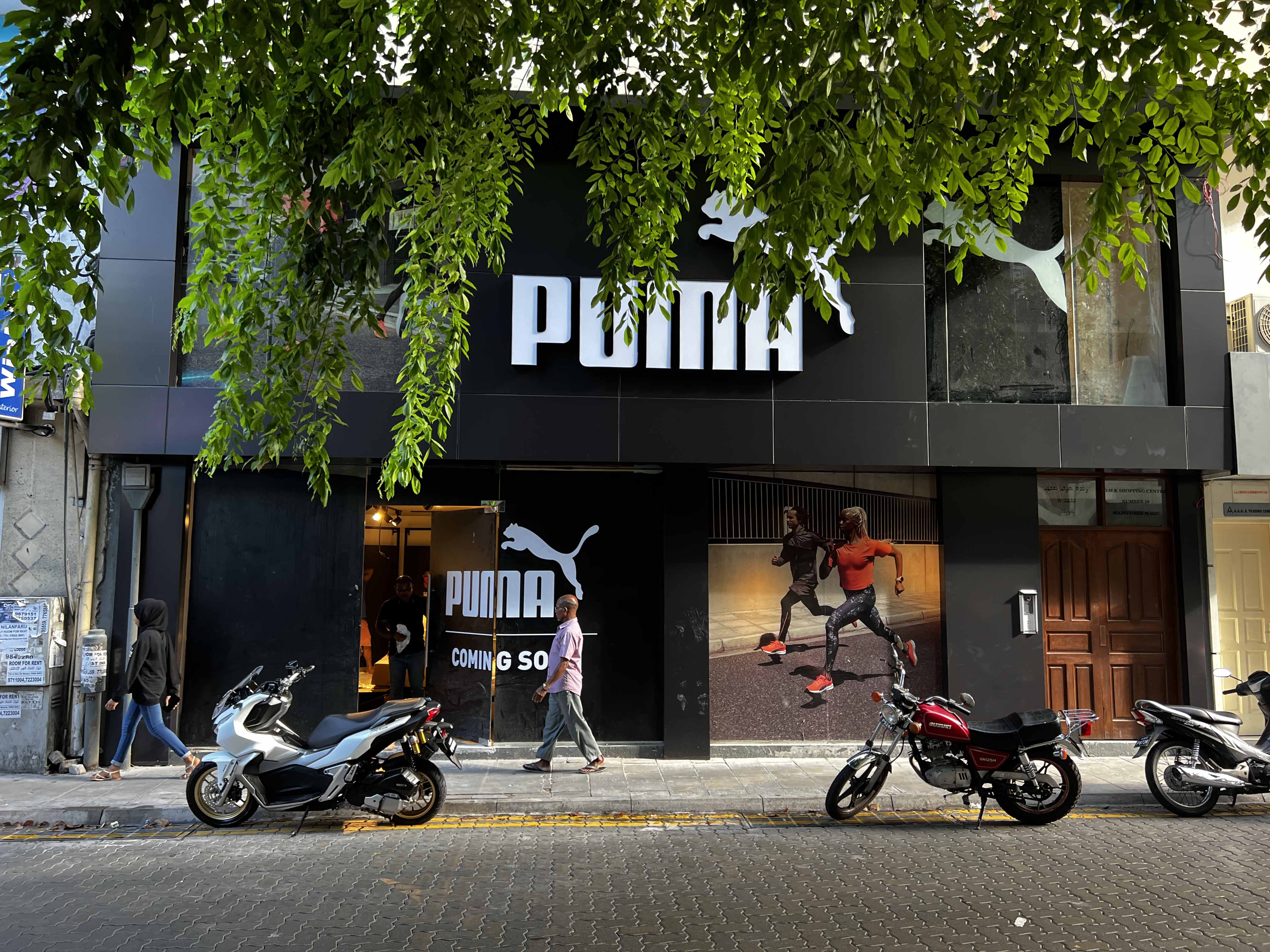 puma.jpg